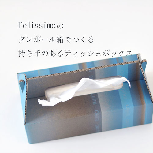 F tissue01